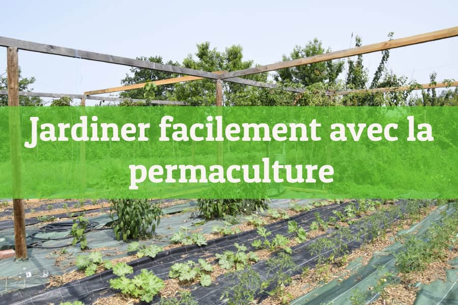 Structures pour potager dans la formation Jardiner facilement avec la permaculture
