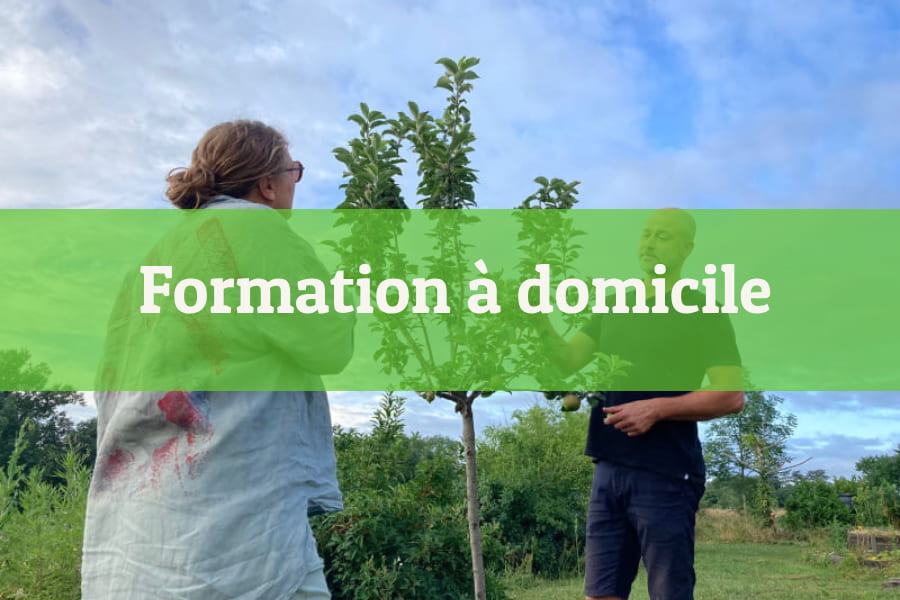 Christophe Gaudry devant un pommier dans le cadre d'une Formation Jardinage à domicile